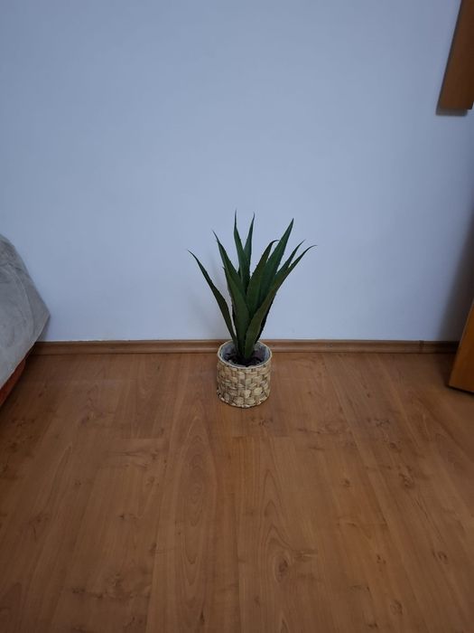 Ofer spre închiriere apartament cu doua camere — fotografia 1