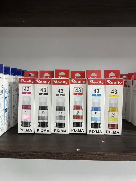 Epson  и Canon  чернила