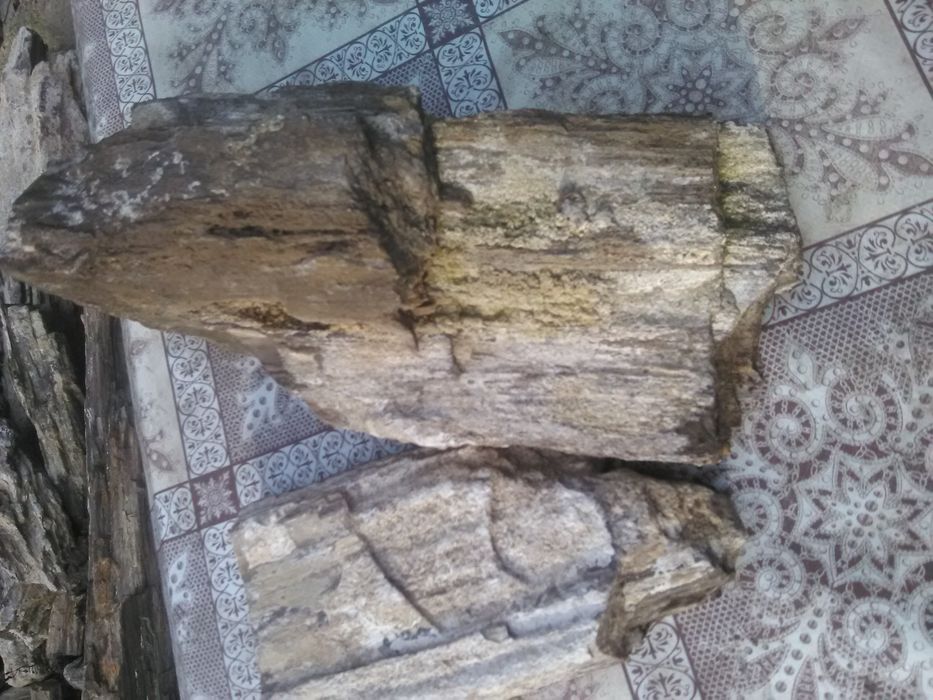 Вкаменени дърво, композиция.