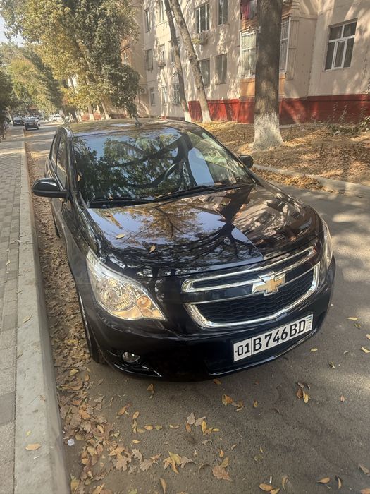 Продаю свой коболти дарумон блу