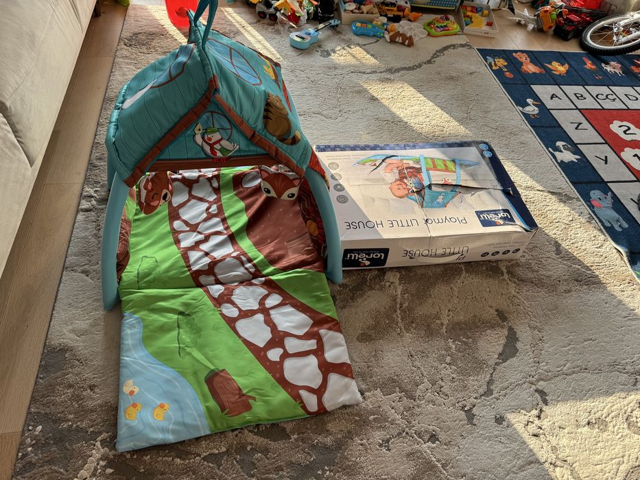 Casuta de activitati