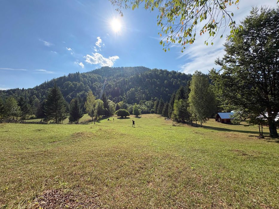 Teren intravilan 4.285 mp, Grințieș-Neamț, zona Ceahlău, 13 €/mp, se poate parcela