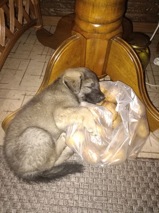 Мальчик красавчик