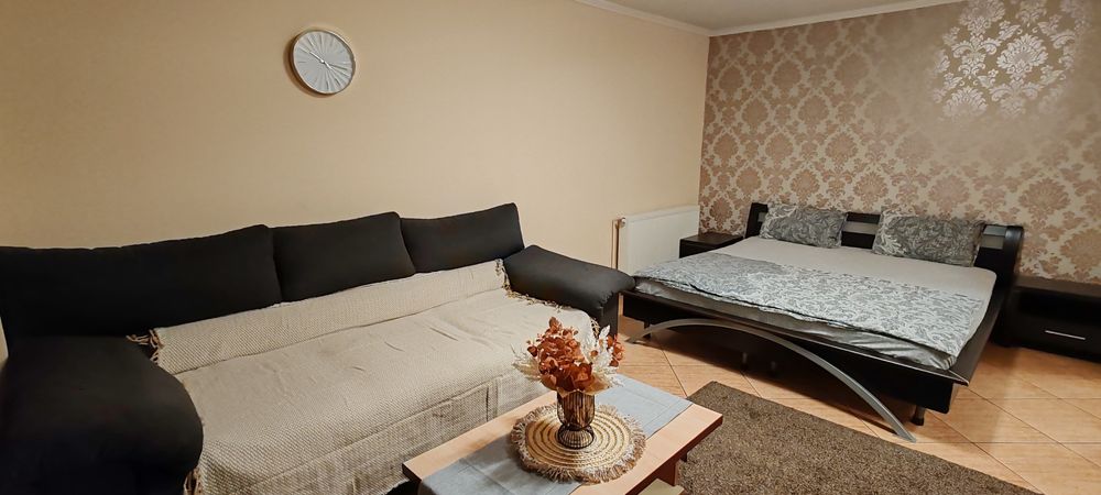 Garsoniera in regim hotelier in zona Unirii Tineretului