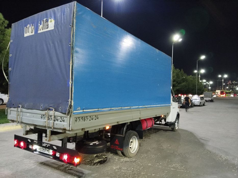 Gazel, газел  5.20