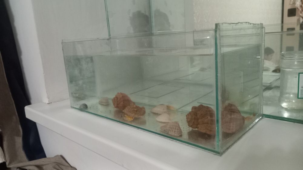 Аквариум аквариум