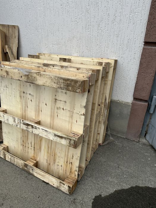 Патдон прадам  2 вида