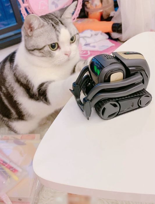 Робот Vector с искусственным интеллектом оригинал