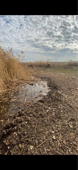 Земля участок до 5 га вода постоянно пос Байсерке сдам в аренду.