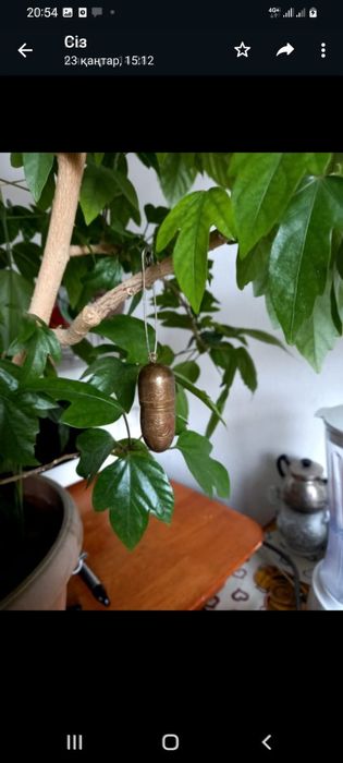 Игольница латунь игольница