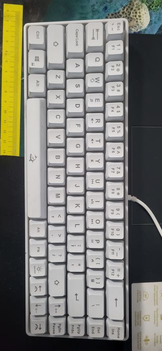Asus vivobook go 14/15