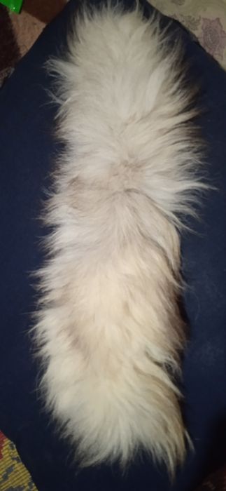 Меха и меховые изделия,Натуральные и искусственные