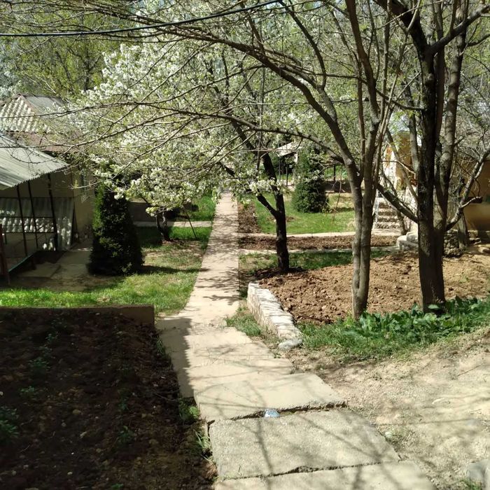 Продается дача 8+30 сот  в горах Хумсан