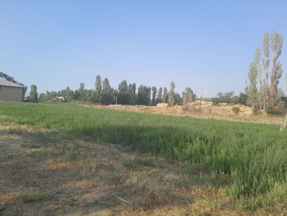 10 sotug er satiladi