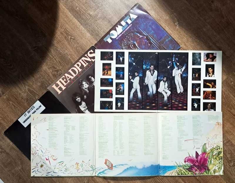 Lot 7 discuri vinyl
