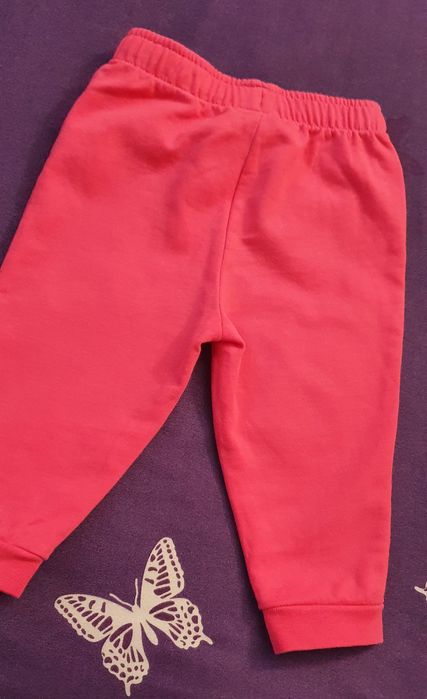 Trening fetite puma