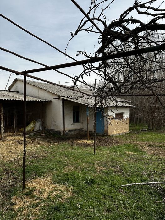 4 xona yashash uchun 4 xona tovuq juja va bol qoy boqsa buladigan joy