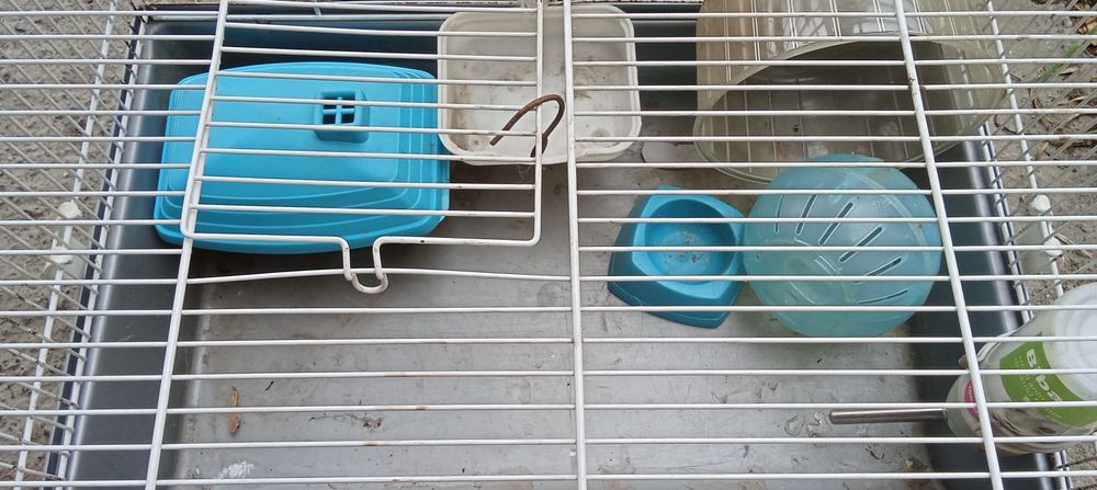 Клетка со всеми удобствами для хомяка