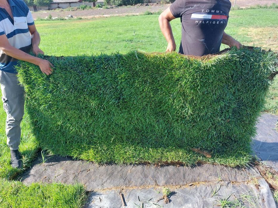 Рулонный Газон ландшафт Gazon газон