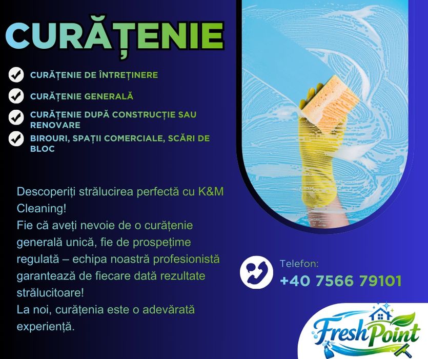 Curățenie prifesională