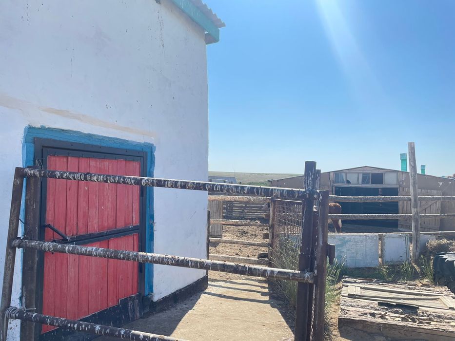 Крестьянское хозяйство