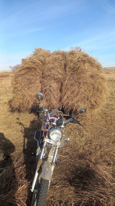 Сатылады Мотоцикл 150куб +телешка