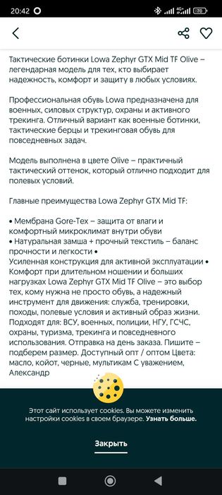 Мужские ботинки Lowa