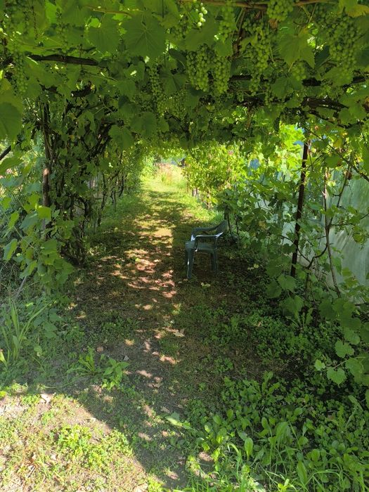 Продава се Парцел в с. Литаково, Област София-област - 770 кв.м за 39 €/кв.м - Снимка #1