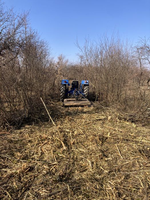 Defrisari terenuri, intretinere spatii verzi si demolari