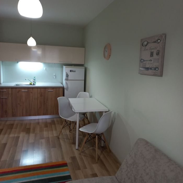 Дава се под наем Двустаен апартамент в Пловдив, Каменица 1 - 50 кв.м за 408 € - Снимка #2