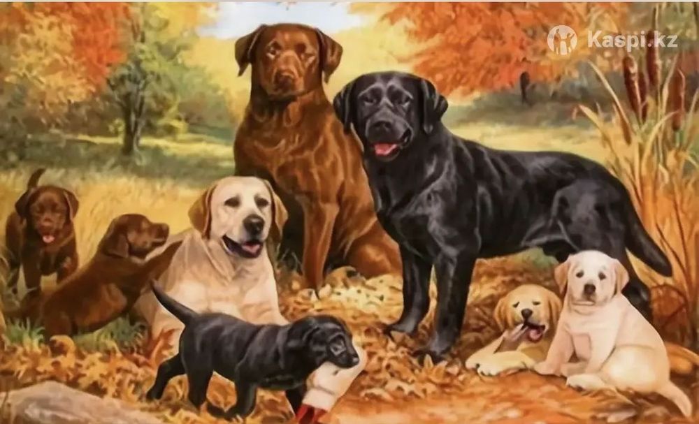 Вышивка крестиком