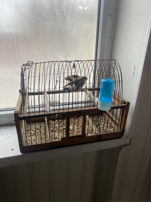 Сатылады 6 мың шымкент