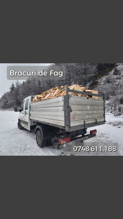 Lemne de foc fag