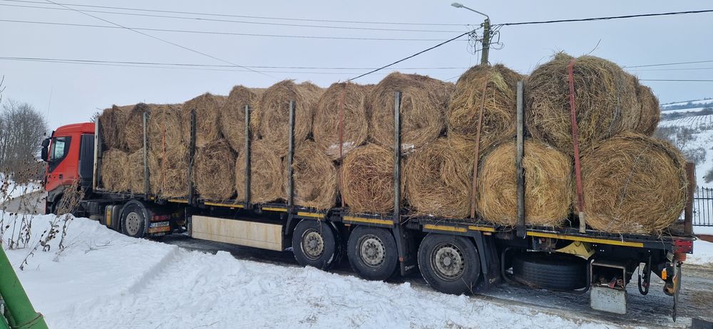 Baloti de fan 120/120