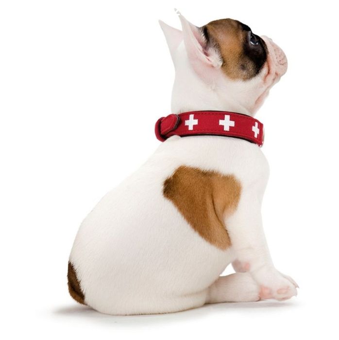 Кучешка каишка - кожена , Hunters