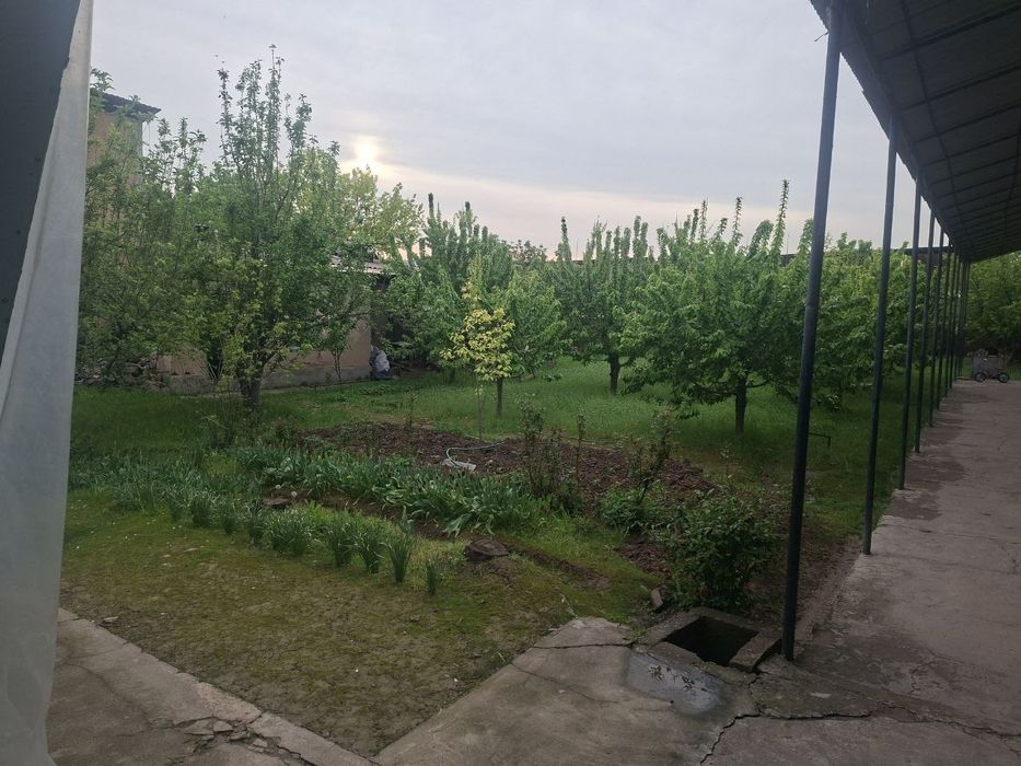 Toshkent tumani Kelesda hovli sotiladi
