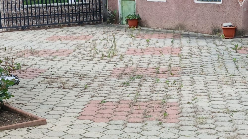 Spalare curatare si vopsire