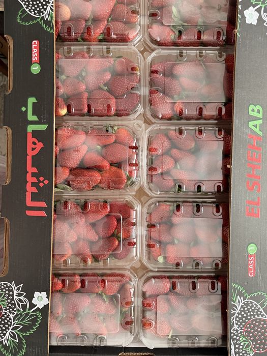 Астана клубника в шоколаде