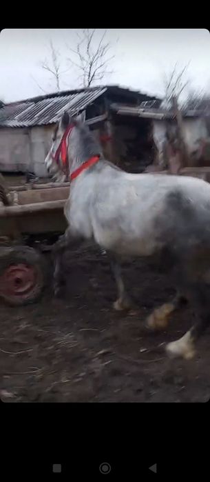 De vânzare sau schimb