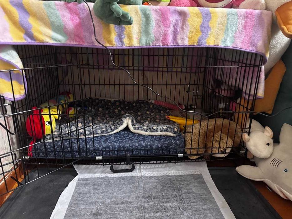 Продается вольер для собак, кошек.