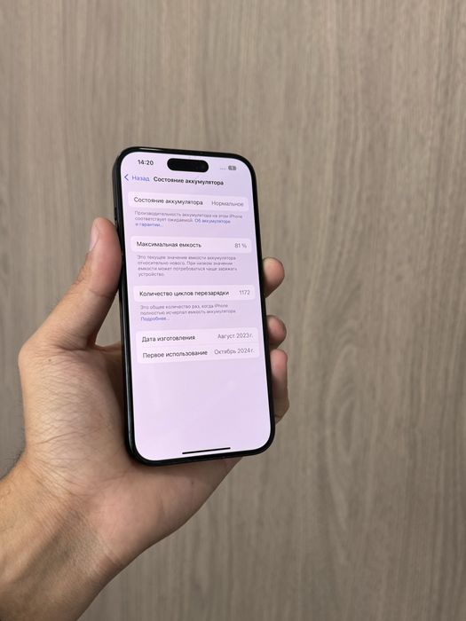 Iphone 15 Pro 256GB 81%