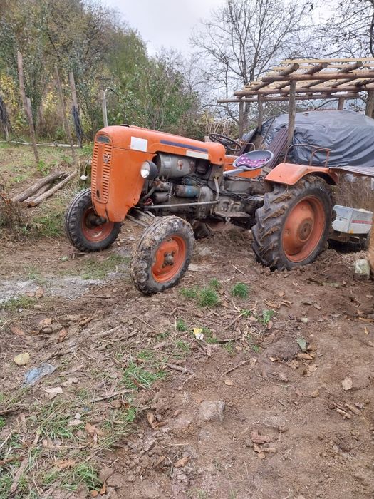 sama puledro 35 cp