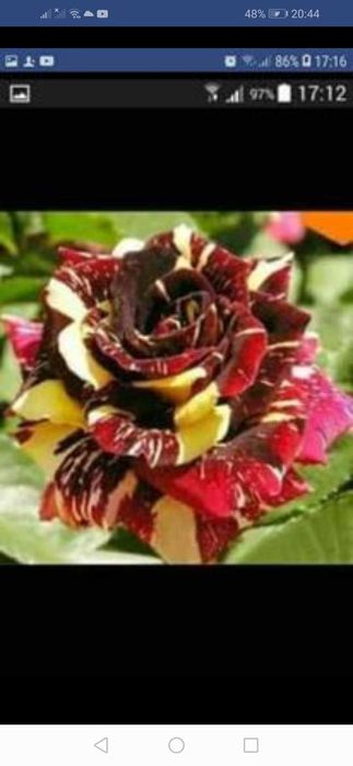 За всеки по нещо