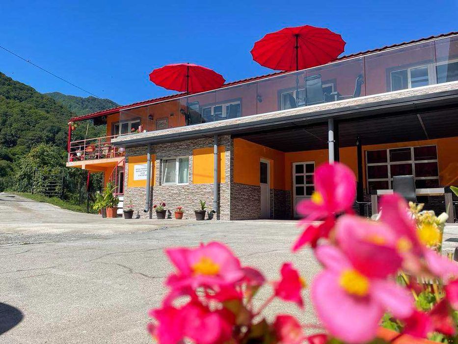 Oferta Revelion Pensiunea Ramona Brezoi 2025