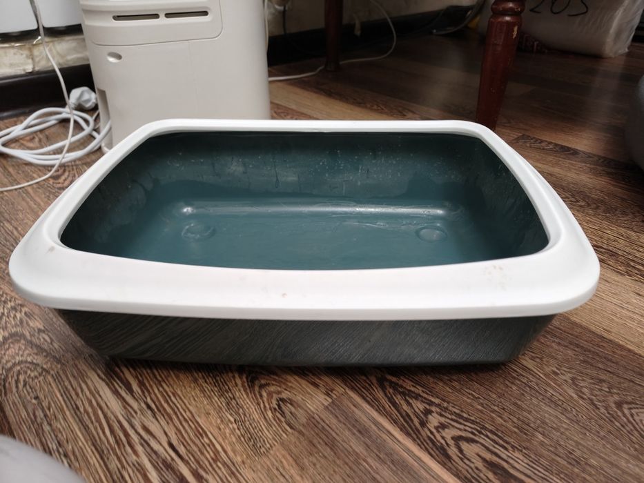 Лоток (туалет) для кошек