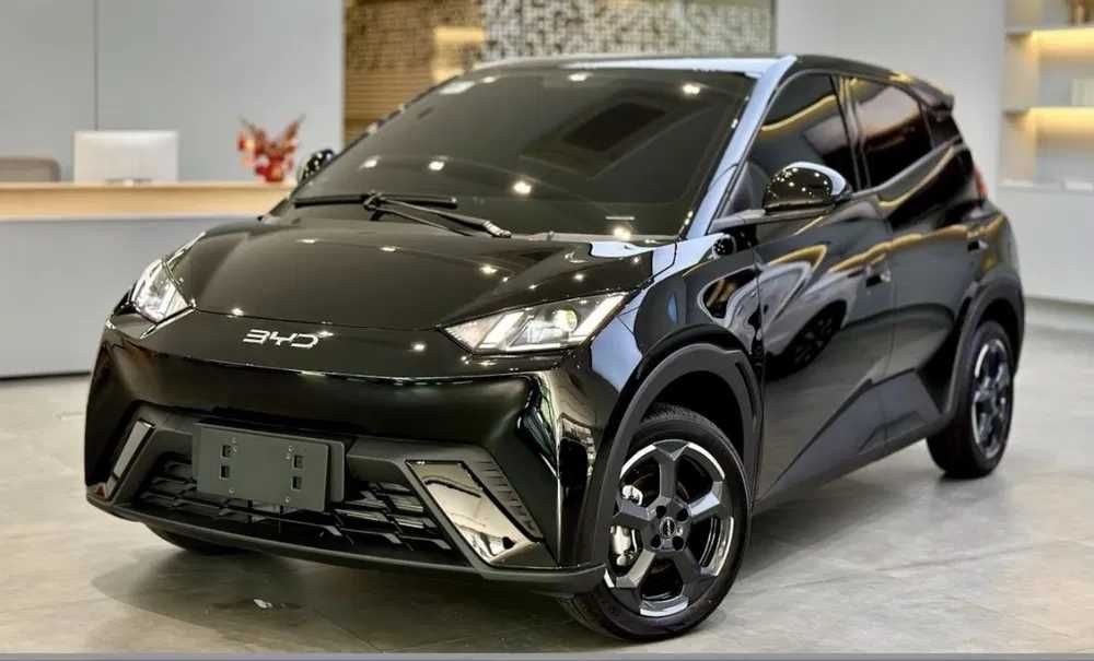 Byd Seagull pod zakaz