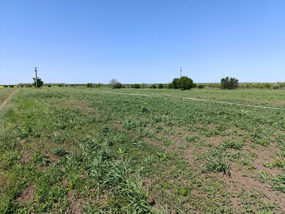 Teren intravilan în Giurgiu