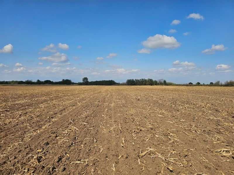 Продава се Земеделски имот в с. Боянци, Област Пловдив -  кв.м за 28 €/дка - Снимка #2