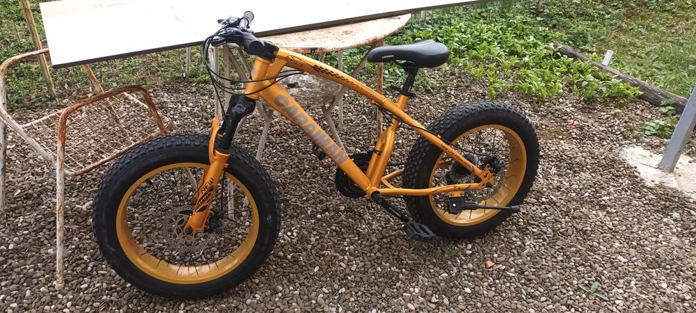 Bicicletă cameleon.