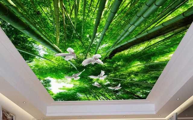 натяжной потолок 3D